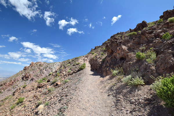 ダンテスリッジ(Dante's Ridge)