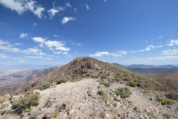 ダンテスリッジ(Dante's Ridge)