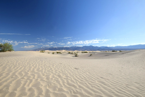 8:10~8:45 観光 メスキートフラット砂丘(Mesquite Flat Sand Dunes)