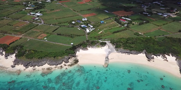 DJI社にかかる期待は大きい