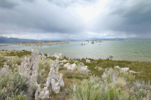 モノ湖 / サウストゥファ(Mono Lake / South Tufa)の見どころ