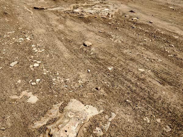 デビルズゴルフコースの注意点:パンクに注意
