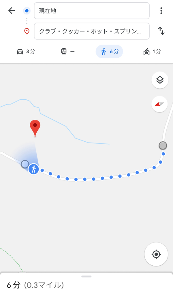 Googleマップ
