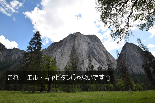 エル・キャピタンのある場所【答え:エル・キャピタン・メドーにある】
