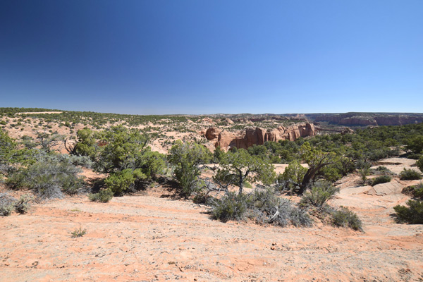 ザイオン国立公園(Zion National Park)の閉園状況