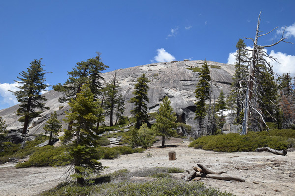 ヨセミテ国立公園 センチネルドーム(Sentinel Dome)の見どころ