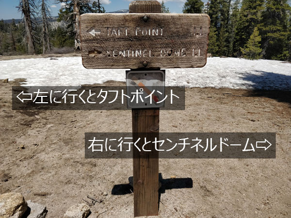センチネルドームに行く出発点もタフトポイントと同じ場所
