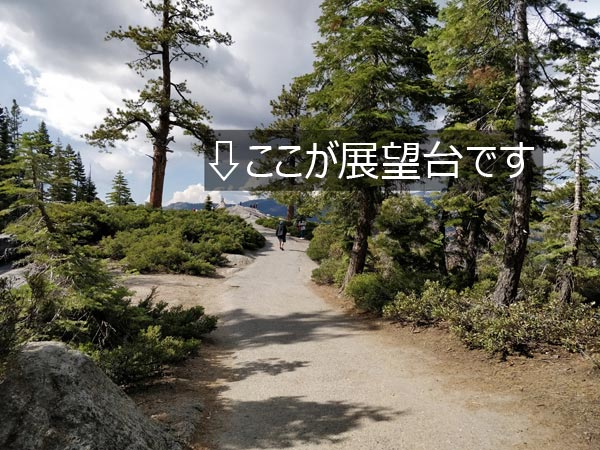 ヨセミテ国立公園 グレイシャーポイント プチトレイル体験記