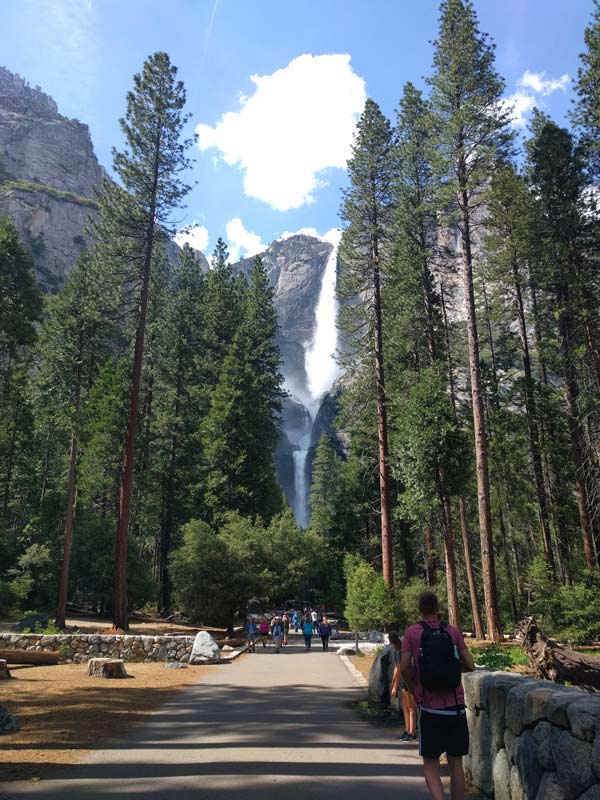 ロウアーヨセミテ滝トレイル(Lower Yosemite Falls Trail)の見どころ