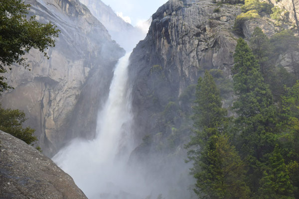 ロウアーヨセミテ滝トレイル(Lower Yosemite Falls Trail)の見どころ