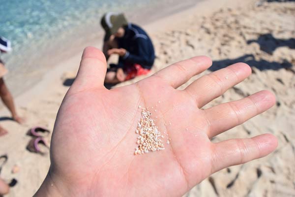 星砂は百合ヶ浜で採れる